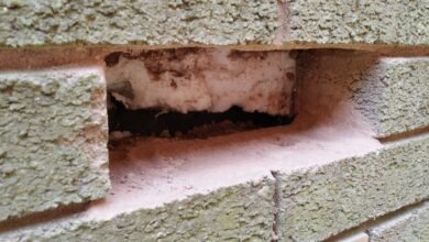 cavity wall insulation removal grants
